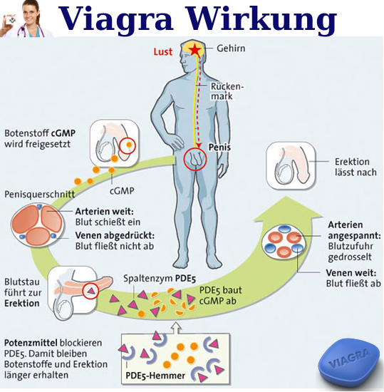 viagra-wirkung